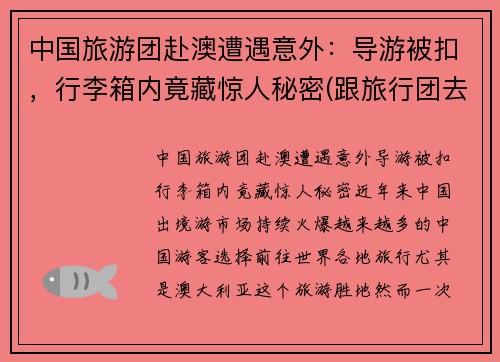 中国旅游团赴澳遭遇意外：导游被扣，行李箱内竟藏惊人秘密(跟旅行团去澳门用签证吗)