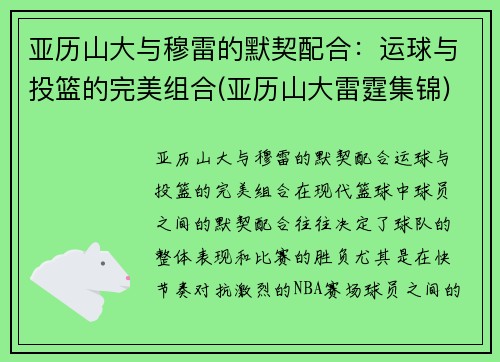 亚历山大与穆雷的默契配合：运球与投篮的完美组合(亚历山大雷霆集锦)